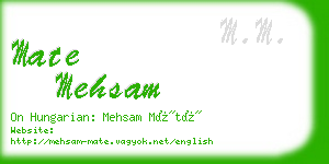mate mehsam business card